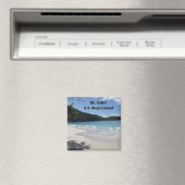 米国ヴァージン島 マグネット (インサイチュ (食洗機))