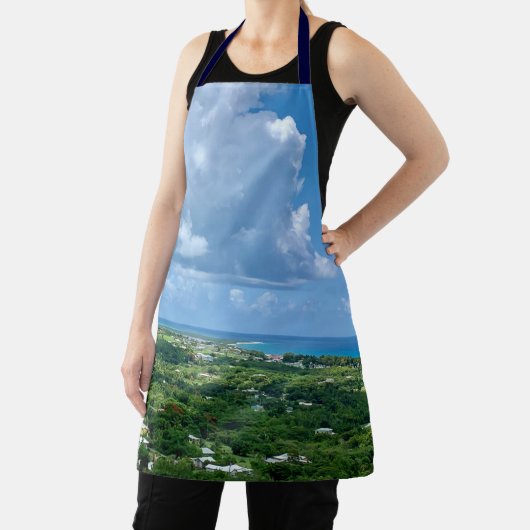 米国ヴァージン諸島セントクロワサンディポイントUSVI エプロン (インサイチュ)