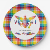 米国ヴァージン諸島マドラス国旗と島 ペーパープレート (正面)