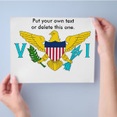 米国ヴァージン諸島国旗のフライヤー チラシ (手)