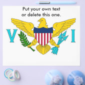 米国ヴァージン諸島国旗のフライヤー チラシ (シングル)