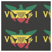 米国ヴァージン諸島国旗、ラスタ、グリーンイエローレッド ファブリック (クローズアップ)