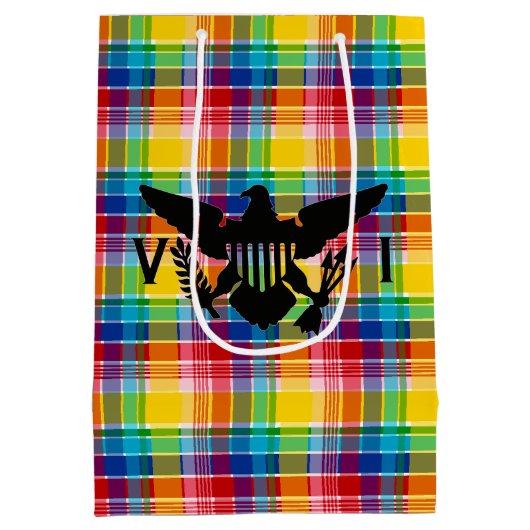 米国ヴァージン諸島国旗（黒）、マドラス ミディアムペーパーバッグ (裏面)