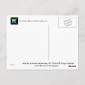 米国ヴァージン諸島国旗Mocko Jumbies USVI ポストカード (裏面)