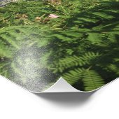 米国ヴァージン諸島、セントトーマス。シャーロット フォトプリント            (角)