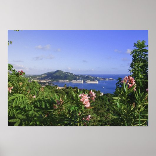 米国ヴァージン諸島、セントトーマス。シャーロット ポスター (正面)