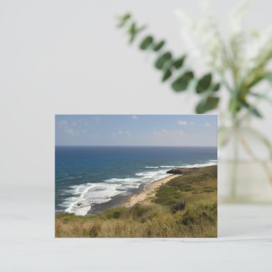 米国ヴァージン諸島USVIセントクロワカリブのー海 ポストカード (スタンド正面)