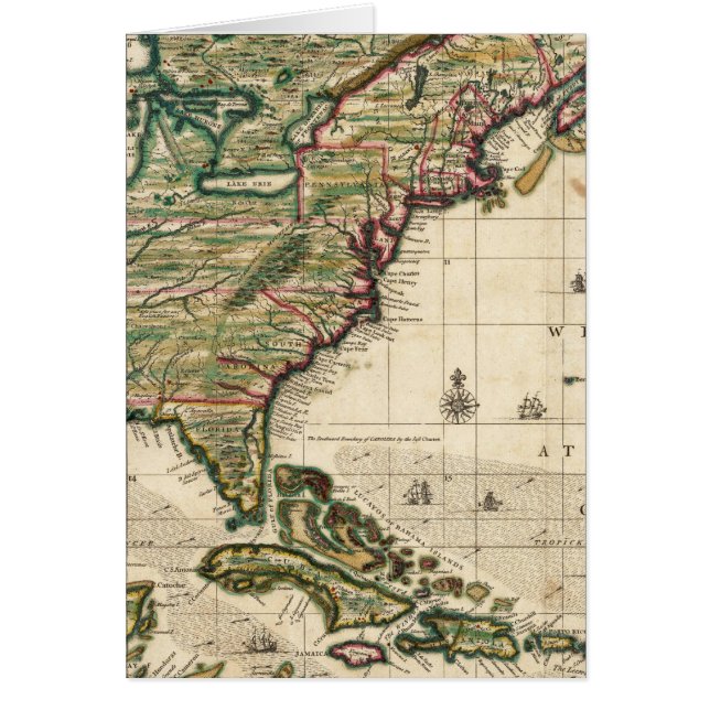 米国中隔胸腺症 (正面)