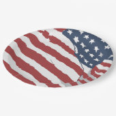 米国動揺して国旗のデザイン ペーパープレート (アングル)