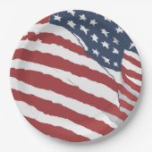 米国動揺して国旗のデザイン ペーパープレート (正面)