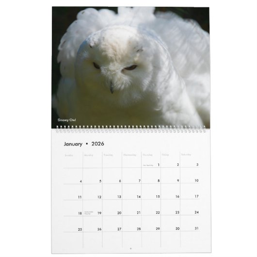 米国北西部の野生生物 カレンダー (1月 2026)