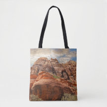 米国南西部のシーン