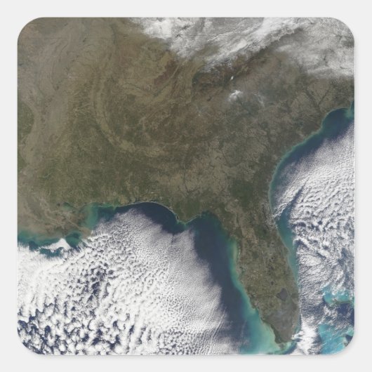 米国南部 スクエアシール (正面)