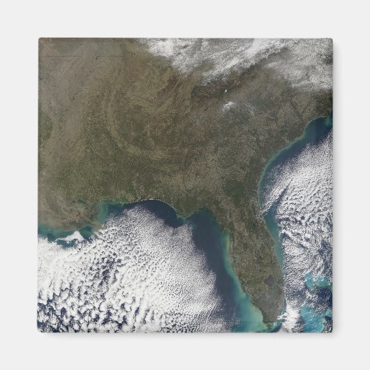 米国南部 マグネット (正面)