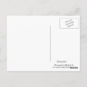 米国国旗のはがき ポストカード (裏面)