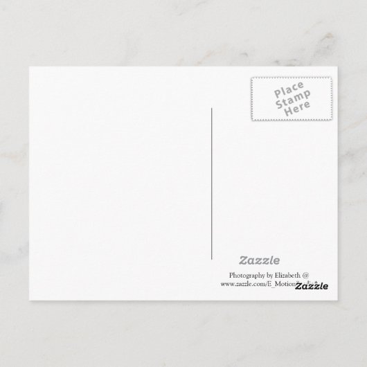 米国国旗のはがき ポストカード (裏面)