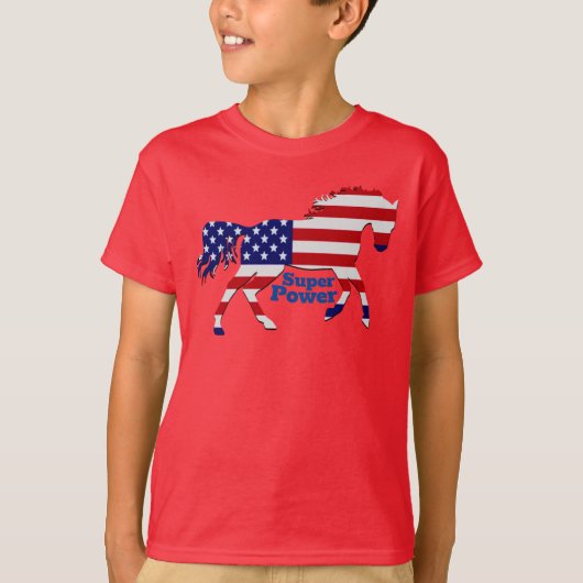 米国国旗のデザイン Tシャツ (正面)
