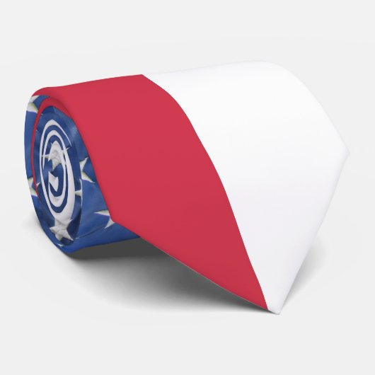 米国国旗のネクタイ ネクタイ (ロール)