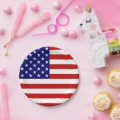 米国国旗のピクセル ペーパープレート (パーティー)