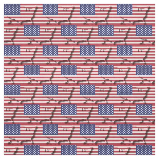 米国国旗の地図アウトライン ファブリック (見本)