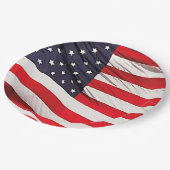 米国国旗の愛国心 ペーパープレート (アングル)