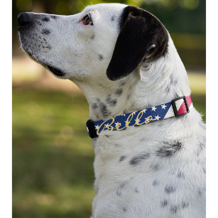 米国国旗の星ストライプ犬の子犬の名前 ペット首輪