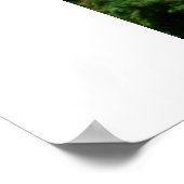 米国国旗の表示 ポスター (角)