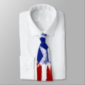 米国国旗の赤白青タイスターストライプズタイ ネクタイ (タイ)