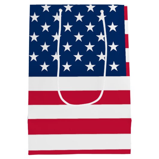 米国国旗抱き枕愛国心 ミディアムペーパーバッグ (裏面)