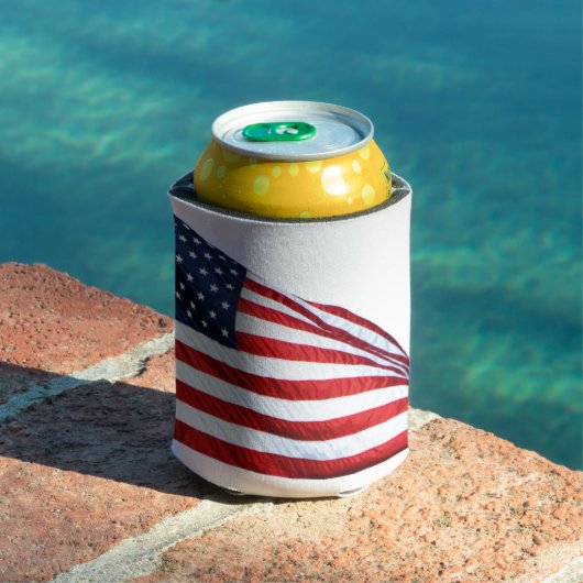 米国国旗2412 缶クーラー (インサイチュ プール)