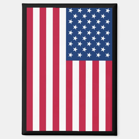 米国国旗2.0 マグネット (正面)