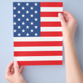 米国国旗 チラシ (手)
