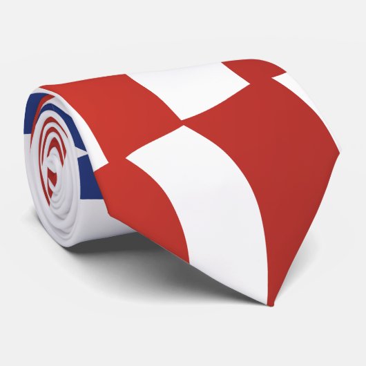 米国国旗 ネクタイ (ロール)