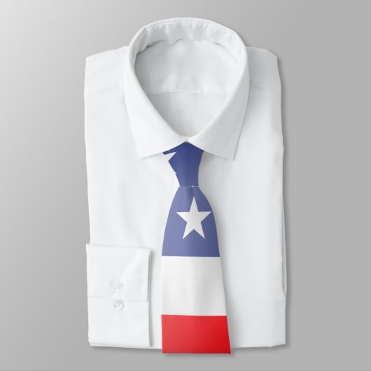 米国国旗 ネクタイ (タイ)