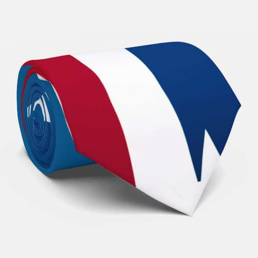 米国国旗 ネクタイ (ロール)