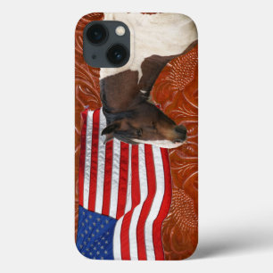 米国国旗、ピント&レザーフェイクー iPhone 13ケース