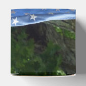 米国国旗 フェイバーボックス (上部)