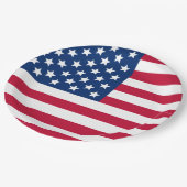 米国国旗 ペーパープレート (アングル)