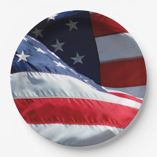 米国国旗 ペーパープレート (正面)