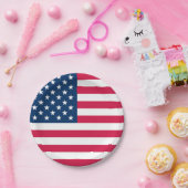 米国国旗 ペーパープレート (パーティー)