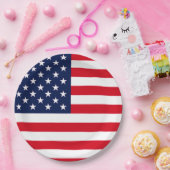 米国国旗 ペーパープレート (パーティー)