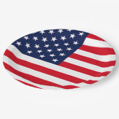 米国国旗 ペーパープレート (アングル)