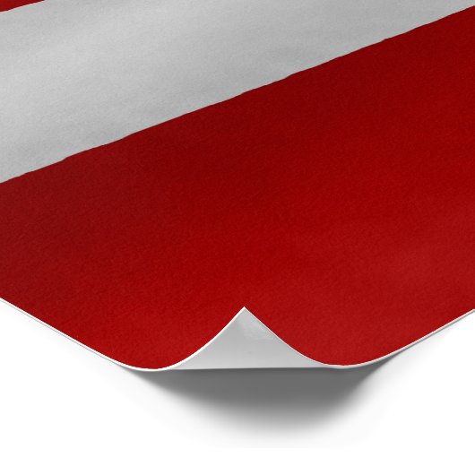 米国国旗 ポスター (角)