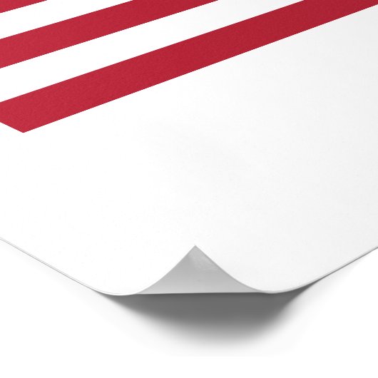 米国国旗 ポスター (角)