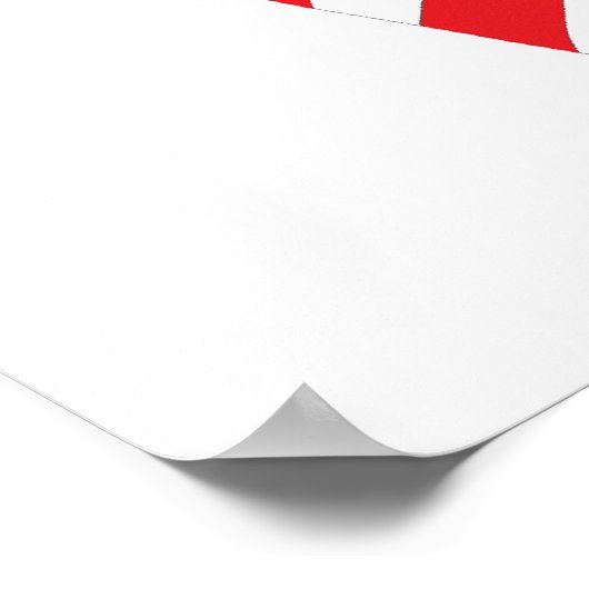 米国国旗 ポスター (角)