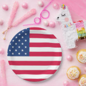 米国国旗 | 7月4日 ペーパープレート (パーティー)
