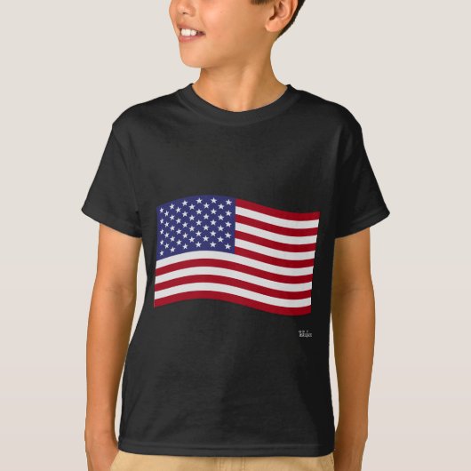 米国国旗 Tシャツ (正面)