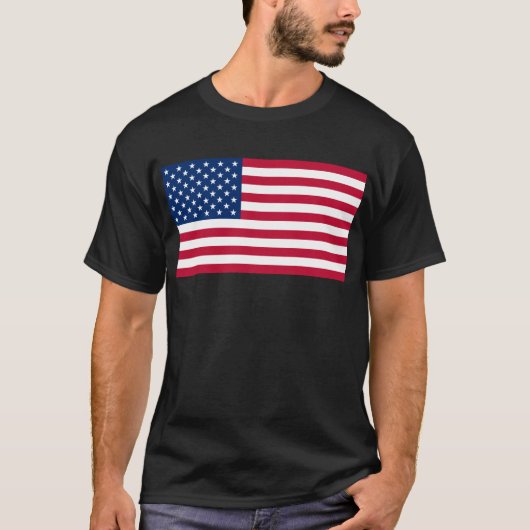 米国国旗 Tシャツ (正面)