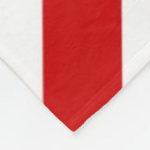 米国国旗fbt フリースブランケット (角)