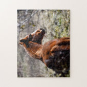 米国威厳のあるジョージア州の農場の馬 ジグソーパズル (縦)